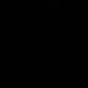 Meet your Posher, Jaylen